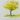Malkurs: Ostermundigen (BE), Bäume skizzieren und aquarellieren im Wyss Schaugarten